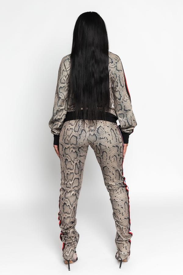 Boss Moves Python Jogger Suit - Dayna Dior