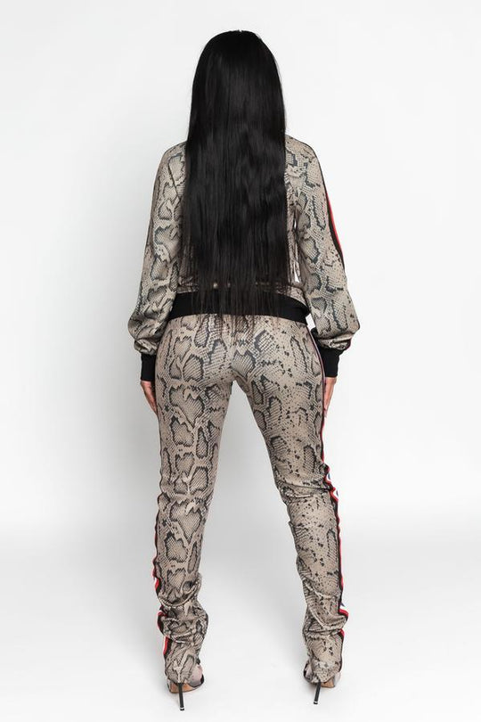 Boss Moves Python Jogger Suit - Dayna Dior
